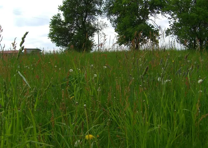 Brandtsheide شقة Niederdorla